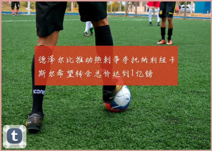 德泽尔比推动热刺争夺托纳利纽卡斯尔希望转会总价达到1亿镑
